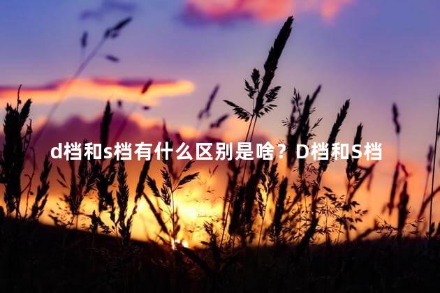 d档和s档有什么区别是啥？D档和S档的区别 了解它们的不同